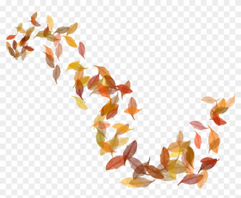 Autumn Leaf Color Clip Art - Autumn Leaves Transparent Autumn Leaf Color Clip Art - Autumn Leaves Transparent
