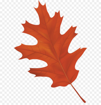 Autumn leaf color Clip art - Brown Autumn Leaf PNG Clipart Image 