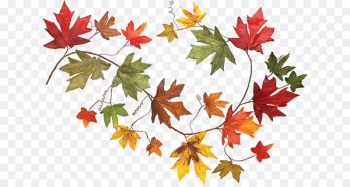 Autumn leaf color Clip art - Leaf 