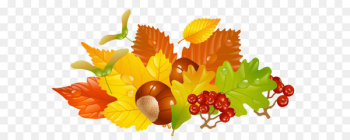Autumn leaf color Clip art - Transparent Fall Leaves and Chestnuts Picture 