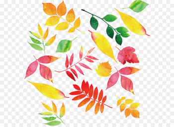 Autumn leaf color - Color watercolor autumn leaves Autumn leaf color - Color watercolor autumn leaves
