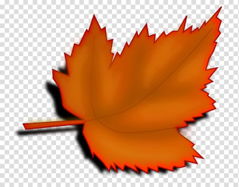 Autumn leaf color Desktop , autumn transparent background PNG clipart