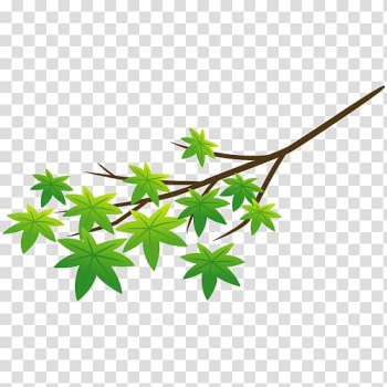 Autumn leaf color Drawing, autumn transparent background PNG clipart Autumn leaf color Drawing, autumn transparent background PNG clipart