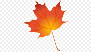 Autumn leaf color Drawing Clip art - autumn Autumn leaf color Drawing Clip art - autumn