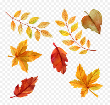 Autumn leaf color Euclidean vector - Watercolor leaves Autumn leaf color Euclidean vector - Watercolor leaves
