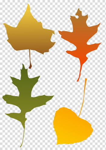 Autumn leaf color , Fall Art transparent background PNG clipart