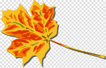 Autumn leaf color , Fall Art transparent background PNG clipart