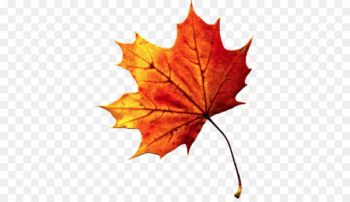 Autumn leaf color - Fall Autumn Leaves Transparent PNG Autumn leaf color - Fall Autumn Leaves Transparent PNG