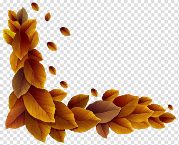 Autumn leaf color , Fall Corner transparent background PNG clipart