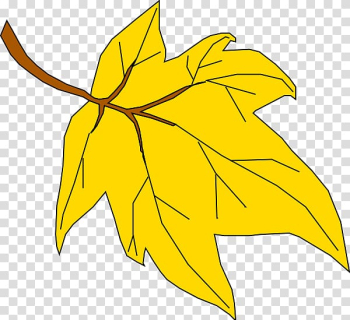 Autumn leaf color , Fall Leaves Graphic transparent background PNG clipart