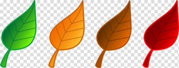 Autumn leaf color , Fall Season transparent background PNG clipart