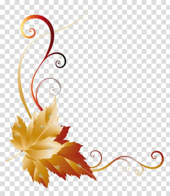 Autumn leaf color , fall transparent background PNG clipart