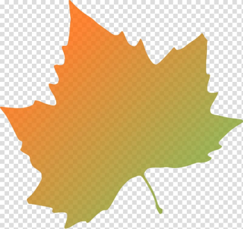 Autumn leaf color , Fall Trees transparent background PNG clipart