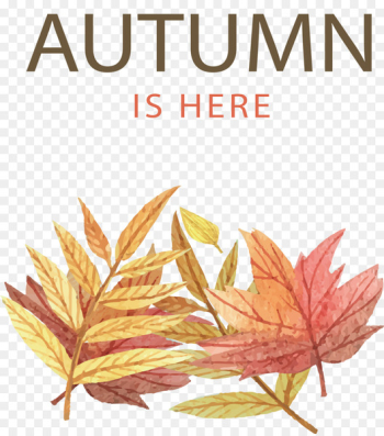 Autumn leaf color Illustration - Autumn has come Autumn leaf color Illustration - Autumn has come