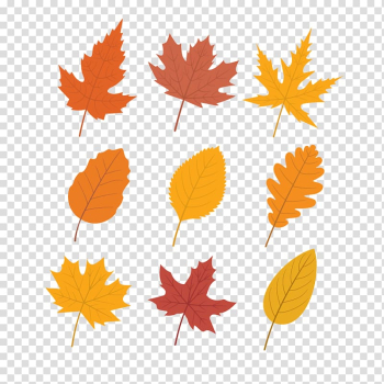 Autumn leaf color Maple leaf, autumn maple leaf transparent background PNG clipart Autumn leaf color Maple leaf, autumn maple leaf transparent background PNG clipart