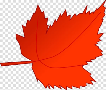 Autumn leaf color Maple leaf , maple leaf transparent background PNG clipart Autumn leaf color Maple leaf , maple leaf transparent background PNG clipart