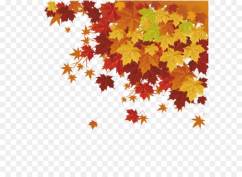 Autumn leaf color Maple leaf - Maple leaf vector Autumn leaf color Maple leaf - Maple leaf vector