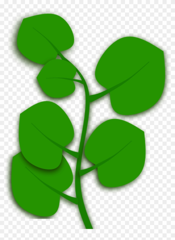 Autumn Leaf Color Nature Plants Transprent Png - Leaf