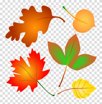 Autumn leaf color Open, autumn transparent background PNG clipart