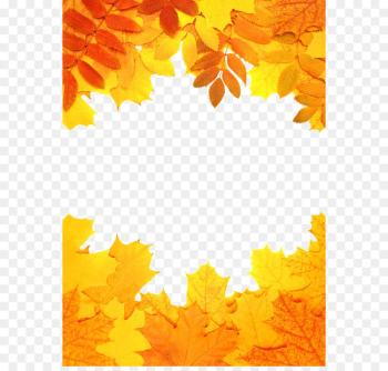 Autumn leaf color Orange - Autumn leaves Autumn leaf color Orange - Autumn leaves