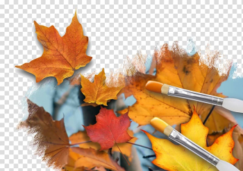 Autumn leaf color Painting , autumn transparent background PNG clipart Autumn leaf color Painting , autumn transparent background PNG clipart
