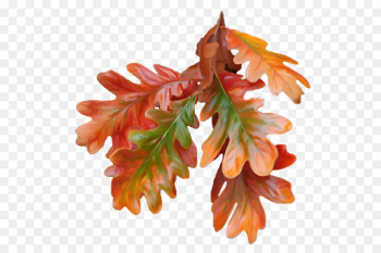 Autumn leaf color Paper Autumn leaf color - Autumn leaves Autumn leaf color Paper Autumn leaf color - Autumn leaves