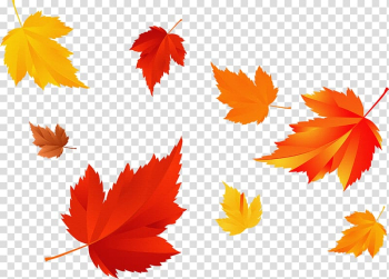 Autumn leaf color Season, fall season transparent background PNG clipart Autumn leaf color Season, fall season transparent background PNG clipart
