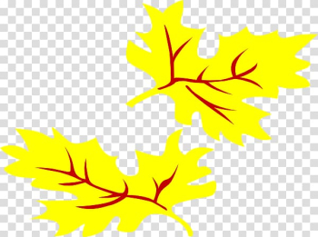 Autumn leaf color Yellow , Fall Leaves Cartoon transparent background PNG clipart