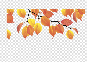 Autumn leaf color Yellow, Leaf transparent background PNG clipart Autumn leaf color Yellow, Leaf transparent background PNG clipart