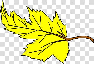 Autumn leaf color Yellow , yellow transparent background PNG clipart Autumn leaf color Yellow , yellow transparent background PNG clipart