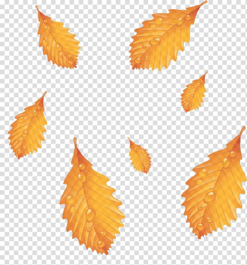 Autumn Leaf Deciduous Season, Autumn leaves transparent background PNG clipart Autumn Leaf Deciduous Season, Autumn leaves transparent background PNG clipart