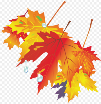 Autumn Leaf Drawing Color - autumn leaves Autumn Leaf Drawing Color - autumn leaves