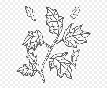 Autumn Leaf From Tree Branch Coloring Page - Coloring Book