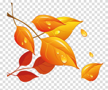 Autumn Leaf , Golden autumn leaves transparent background PNG clipart Autumn Leaf , Golden autumn leaves transparent background PNG clipart