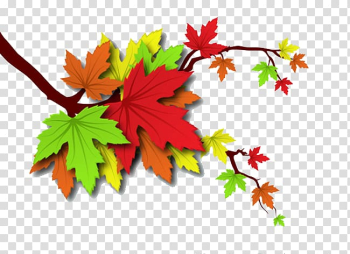 Autumn Leaf Illustration, Autumn leaves transparent background PNG clipart Autumn Leaf Illustration, Autumn leaves transparent background PNG clipart