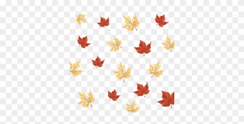 Autumn Leaf Pattern, Automn, Leaf Pattern, Creative - Autumn Autumn Leaf Pattern, Automn, Leaf Pattern, Creative - Autumn