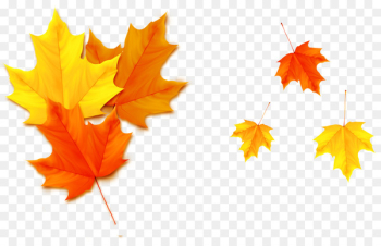 Autumn Leaf Poster - Yellow leaves Autumn Leaf Poster - Yellow leaves