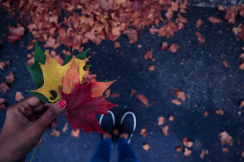 Autumn Leaves Autumn Leaves