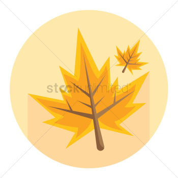 Autumn leaves