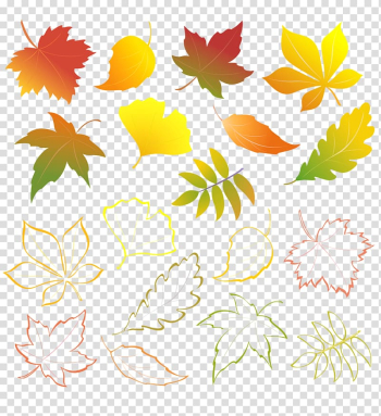 Autumn Leaves Autumn leaf color, autumn leaves transparent background PNG clipart Autumn Leaves Autumn leaf color, autumn leaves transparent background PNG clipart