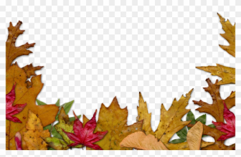 Autumn Leaves Border Png Autumn Leaves Border Png