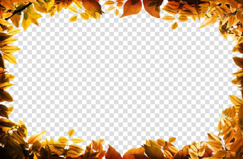 Autumn leaves border transparent background PNG clipart