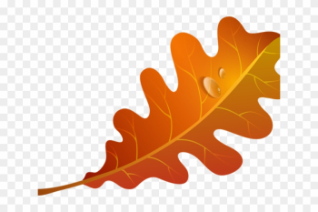 Autumn Leaves Clipart Orange Leaf - Orange Leaf Clipart Autumn Leaves Clipart Orange Leaf - Orange Leaf Clipart