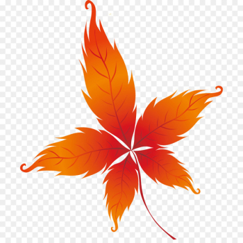 Autumn Leaves Drawing Leaf - fall season Autumn Leaves Drawing Leaf - fall season