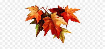 Autumn Leaves Drawing Tumblr - 21 Days Of Fasting & Prayer: Words Autumn Leaves Drawing Tumblr - 21 Days Of Fasting & Prayer: Words