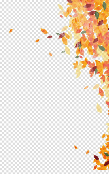 Autumn leaves floating transparent background PNG clipart