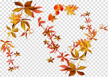 Autumn Leaves Flower , autumn leaves transparent background PNG clipart Autumn Leaves Flower , autumn leaves transparent background PNG clipart