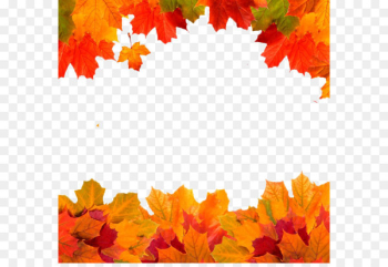 Autumn Leaves Golden Autumn Owasso Leaf - Autumn leaves border 