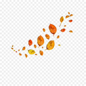Autumn Leaves Leaf - Floating autumn leaves 
