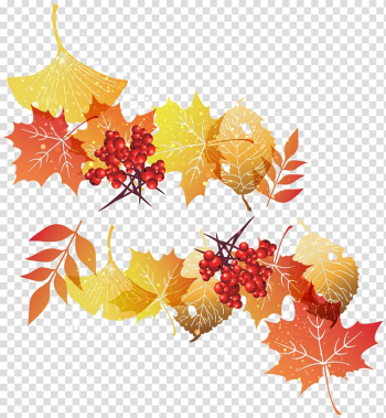 Autumn leaves , Leaf Graphics , Leaves Autumn Decoration transparent background PNG clipart